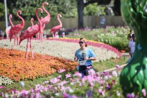 BIB: 
                            <button type="button" onclick="openModal(27793249)" class="btn btn-primary btn-sm float-right btn-popup" data-toggle="modal" data-target=".modal-high-quality">
                        <i class="fas fa-shopping-cart"></i> Add to Cart
                    </button>
                                            <button type="button" onclick="isThisMe(27793249, true)" class="btn btn-success btn-sm float-right btn-popup btn-isme hidden" data-toggle="tooltip" data-placement="bottom" title="นี่คือรูปของคุณใช่ไหม คลิกที่นี่เพื่อเอาเข้าอัลบั้ม">
                        <i class="fas fa-plus"></i> Add to album
                    </button>
                    <button type="button" onclick="isThisMe(27793249, false)" class="btn btn-warning btn-sm float-right btn-popup btn-isnotme hidden">
                        <i class="fas fa-ban"></i> Remove from album
                    </button>